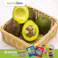 Jual Buah Avocado Terdekat - Harga Murah u0026 Grosir December 2021