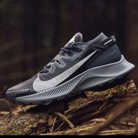 Jual Nike Pegasus Trail Model \u0026 Desain Terbaru - Harga May 2022