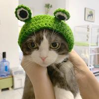 Jual Frog Hat Murah - Harga Terbaru 2022