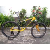 Jual Frame Specialized Stumpjumper 