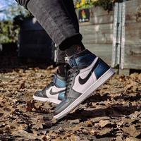 Jual Jordan 1 Chameleon Murah \u0026 Terbaik 