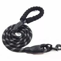 dog leash online