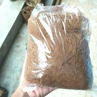 serabut kelapa 1 kg tanam