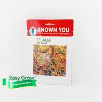 Selada Merah Red Rapid Known You Seed