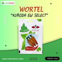 Benih Wortel KURODA EW SELECT