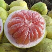 Jeruk Bali Madu Super per Buah