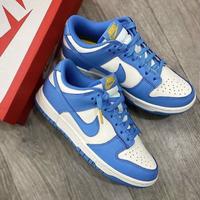 coast nike dunk low