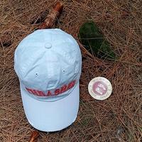 Jual Thrasher Hat Model \u0026 Desain 