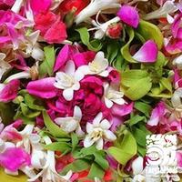 Jual Bunga 7 Rupa Terlengkap Harga Murah Grosir November 2021