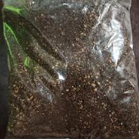 Jual Bumbu Andaliman Terdekat - Harga Murah & Grosir April 2024