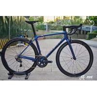 Jual Giant Tcr Advanced Pro Terbaik 