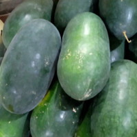 RI Food Buah semangka Inul merah
