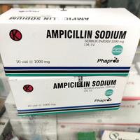 online ampicillin