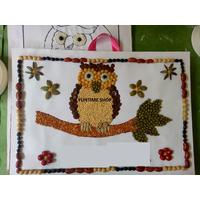 94 Sketsa Gambar Burung Dengan Biji Bijian Gratis