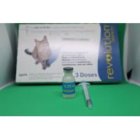 Jual Revolution Cat Terlengkap Terbaik Harga Murah November 2021