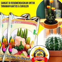 Media Tanam Kaktus dan Sukulen 500gr dengan Bahan Organik