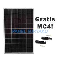 Panel Surya120wp Monocrystalline Harga Promo