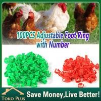 Jual Ring Kaki Ayam Murah Terbaik Harga Terbaru September 21