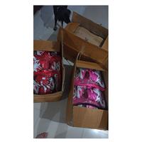 Jual Koli Murah \u0026 Terbaik di Tangerang 