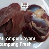 ATI AMPELA AYAM KAMPUNG FRESH GROSIR