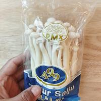 JAMUR SALJU