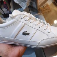 Jual Lacoste Sneakers Model \u0026 Desain 