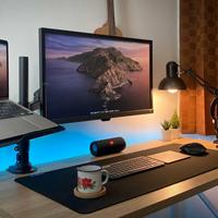 Jual Dual Monitor Mount Terlengkap 
