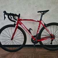 Jual Bianchi Nirone Murah \u0026 Terbaik 