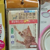 daiso cat scratcher