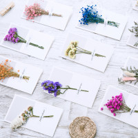 Greeting Gift Card Flower Kartu Ucapan Gift Card Dried Flower Type-A
