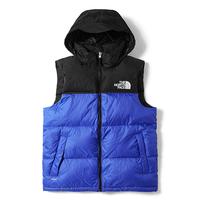 the northface vest