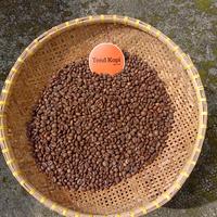 Kopi Robusta Gunung Lio Brebes 1 Kg