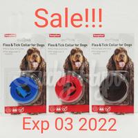 goraul dog flea collar