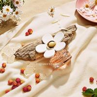 Jual Daisy Love Terlengkap - Harga Murah June 2022