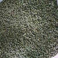 kacang hijau ijo curah berkualitas