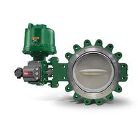 Fisher 8532 High Performance Butterfly Valve