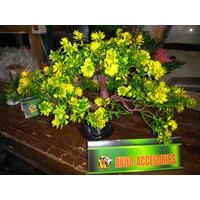 avilo accesories bonsai cabang 3 hiasan aquarium