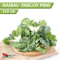 Jual Sayur Pakcoy Terdekat - Harga Murah & Grosir Juni 2024