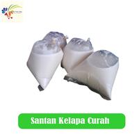 Santan Kelapa Curah 250 Gram