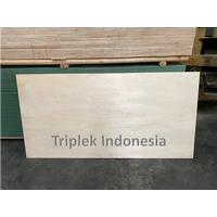 Triplek COMBI 9mm 91x182cm / Plywood COMBI 9mm 3x6