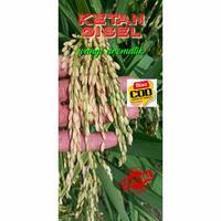 Benih KETAN GISEL 5kg