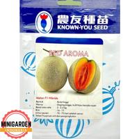 Jual PROMO Benih Biji Melon Orange Red Aroma Pack - Kota Surabaya ...