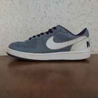 nike terminator low
