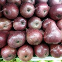 Buah pear merah anjau Australia | pear red import | 1 kg