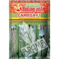 Benih gambas benih oyong Carissa F1 - 10 gram