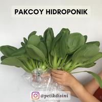 Pakcoy Harga Termurah & Grosir Maret 2025 - Tokopedia