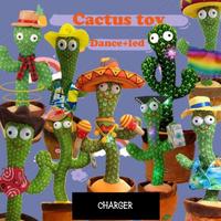 Jual Dancing Cactus Model \u0026 Desain 