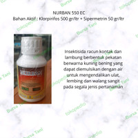 Nurban 550 EC 100 ml || Klorpirifos 500 gr/ltr + Sipermetrin 50 gr/ltr