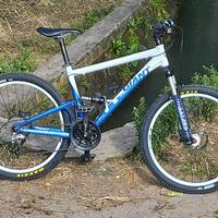Jual Giant Anthem Murah \u0026 Terbaik 