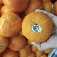 Jeruk Mojo Import australia 1 Kg